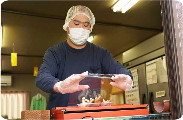 就業作業　シイタケ栽培　太陽の家